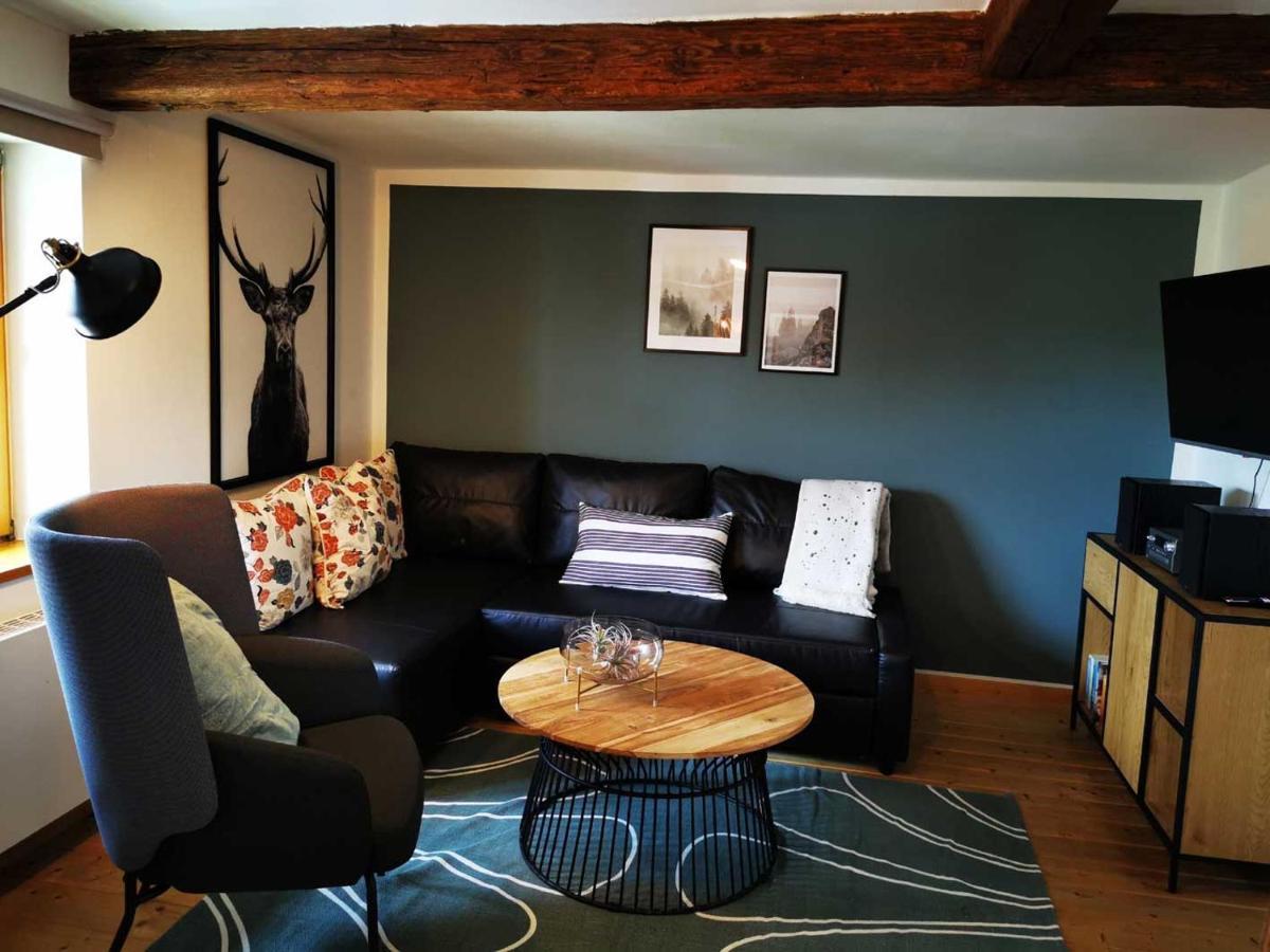 Apartmán Birke Ilsenburg Exteriér fotografie