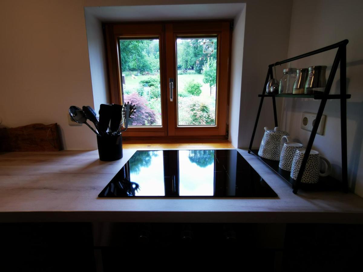 Apartmán Birke Ilsenburg Exteriér fotografie